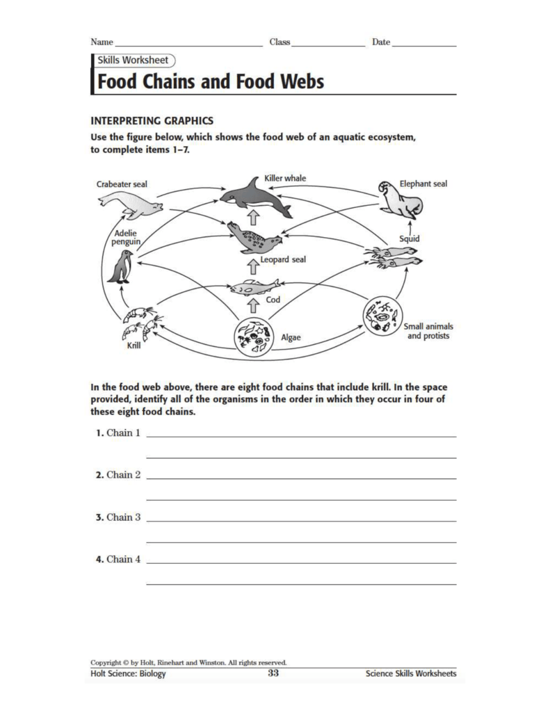 Food Webs and Food Chains Worksheet Pertaining To Food Web Worksheet Answers