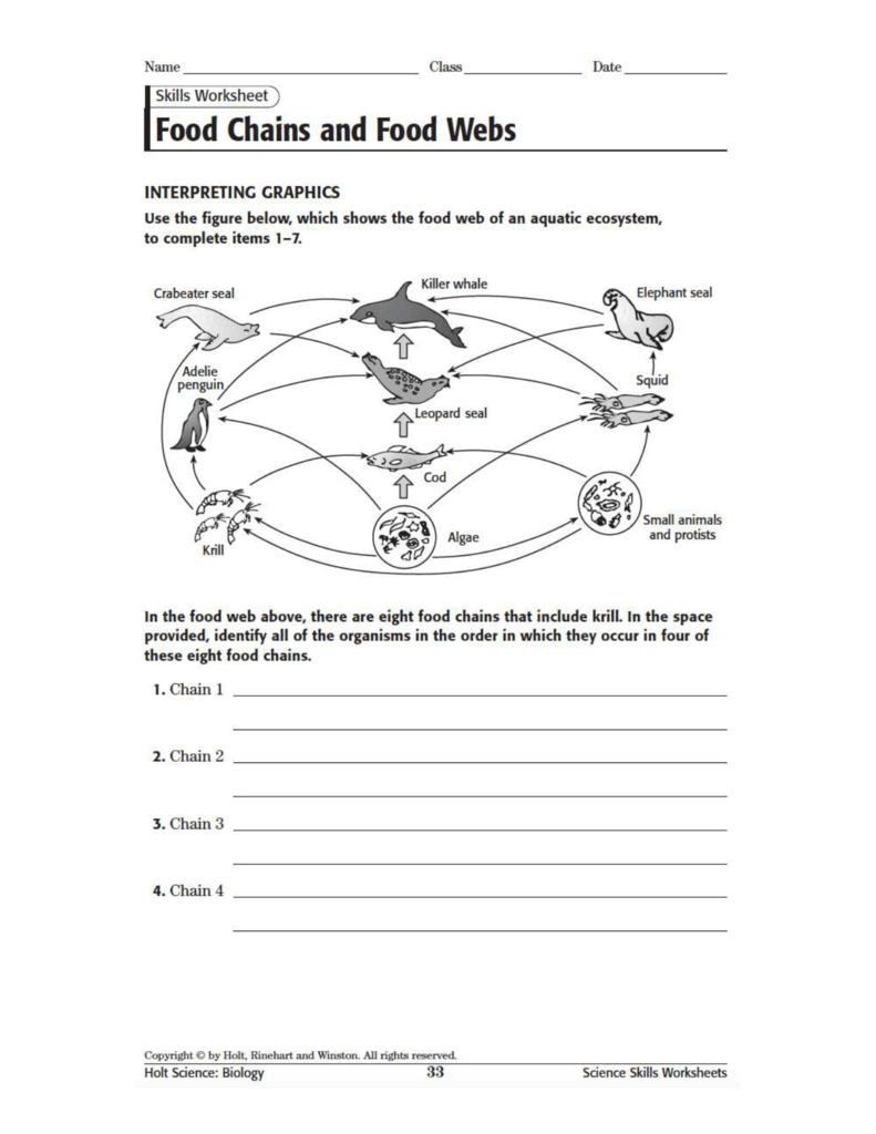 Food Webs and Food Chains Worksheet For Food Chains And  Webs Worksheet