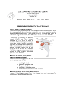 feline lower urinary tract disease
