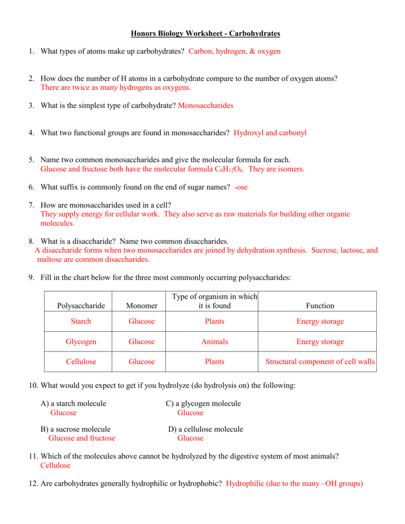 Macromolecules Worksheet With Answers