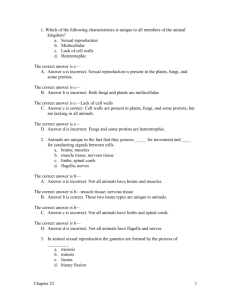 Chapter 32: Overview of Animal Diversity