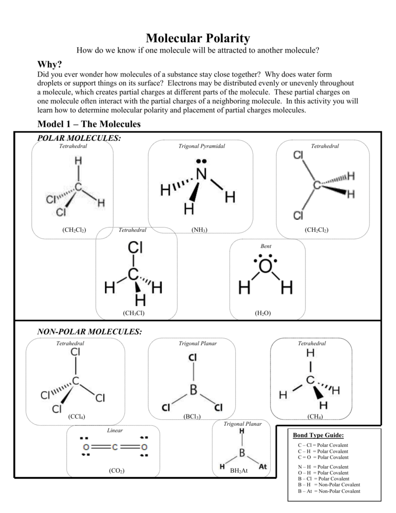 Molecular Polarity POGIL