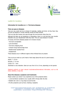 Leaflet for travellers - European Centre for Disease Prevention and