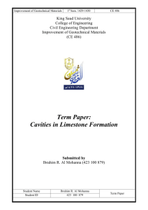 CE 486 term paper cavities in limestone formation