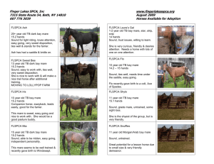 FLSPCA Horses Public Revised Sept. 2009