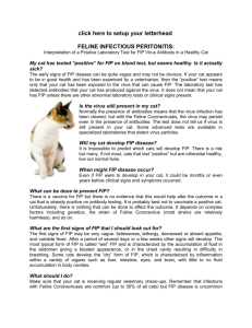 Feline Infectious Peritonitis Interpretation Of A Positive Test