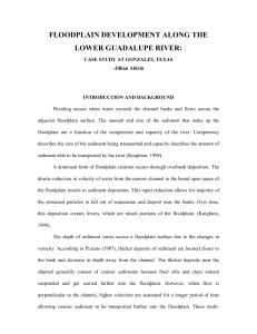 Floodplain Development on the Guadalupe River at Gonzales