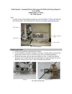 (SEM) and Energy Dispersive X