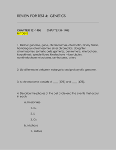 REVIEW FOR TEST 4: GENETICS