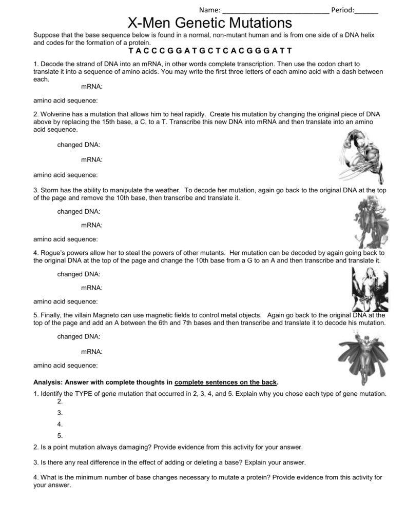 Mutations Worksheet Answer Key