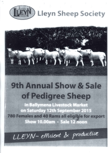 5 YEAR OLDS (£ pounds) - Ballymena Livestock Market