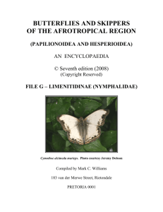 Tribe Limenitidini - Afrotropical Butterflies