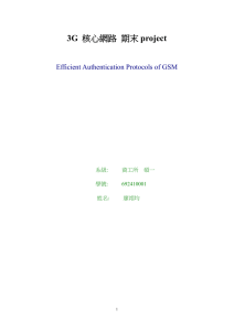 Efficient authentication protocols of GSM
