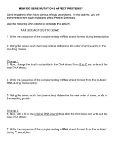 HOW DO GENE MUTATIONS AFFECT PROTEINS