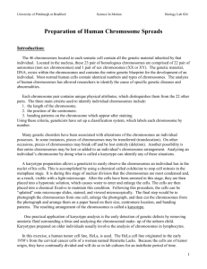 Karyotyping-Lab