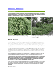 Control of Knotweed Control of Japanese Knotweed relies on the