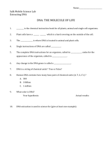 DNA Extraction questions
