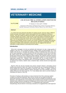 use of electrical stimulation for wound healing in dogs