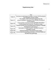 Nobuta et al. Supplementary Data Title Table S1 Summary of