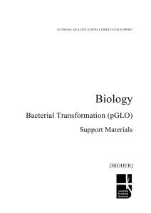 Case study on Bacterial Transformation