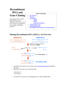 Recombinant DNA and Gene Cloning