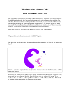 Build Your Own Genetic Code