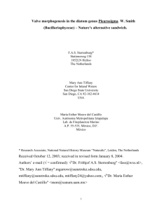 Valve morphogenesis in the diatom genus Pleurosigma W