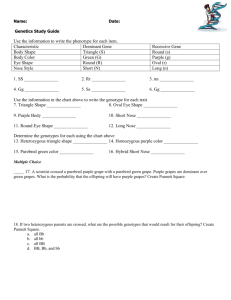 Multiple Choice - Effingham County Schools