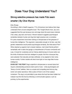 Does Your Dog Understand You