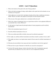 AS434 – Lab 13 Questions