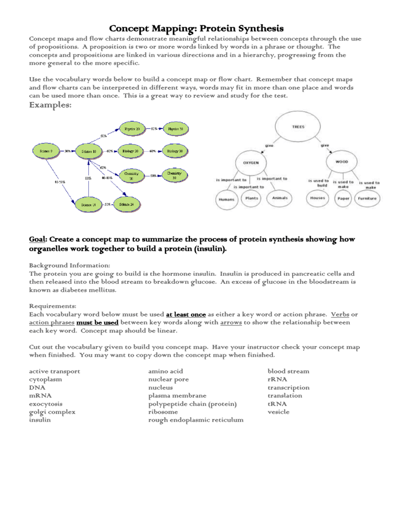 Protein Synthesis Flow Chart Answers