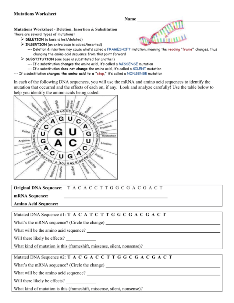 Mutations Worksheet