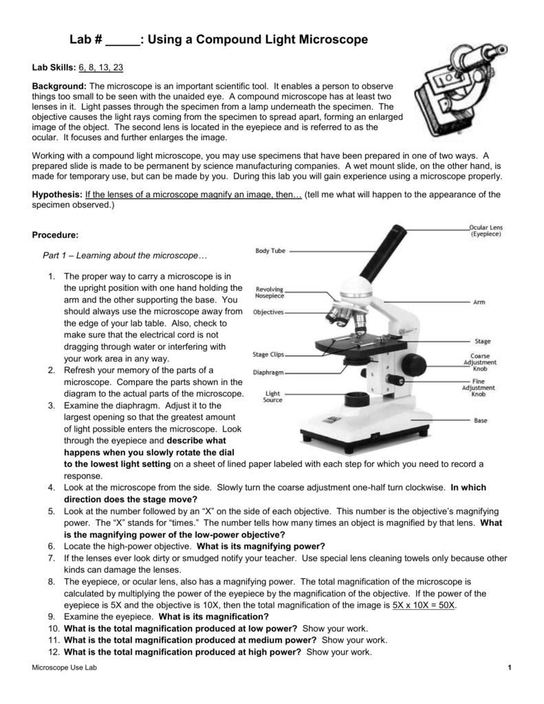 Using A Compound Light Microscope Lab Answers