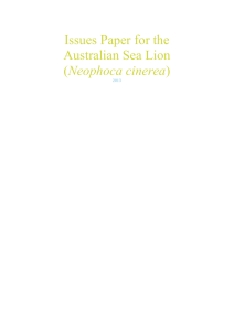 Issues paper for the Australian Sea Lion (Neophoca cinerea) (DOC