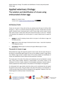 02_virology_eggs_introduction