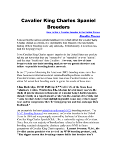 Cavalier King Charles Spaniel Breeders