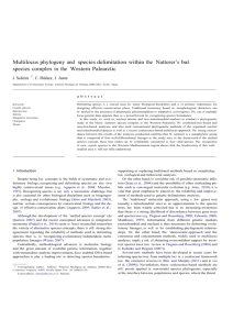 Multilocus phylogeny and species delimitation within the Nattererâ
