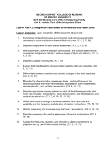 LP 4.2 Intrapartum Assessment
