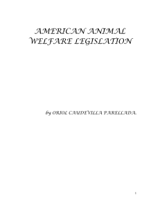 American Animal Welfare Legislation