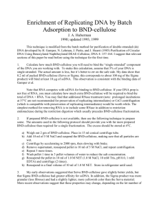 How to enrich for replication intermediates with