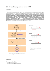 Site-directed mutagenesis by inverse PCR Overview Inverse PCR is