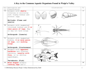 Key To Classes of Common Aquatic Organisms Found in Waipi`o