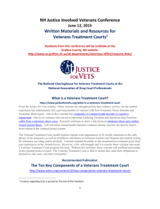Veterans Treatment Court Handouts