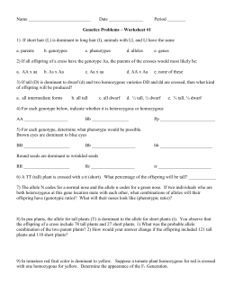 Genetics Problems Worksheet