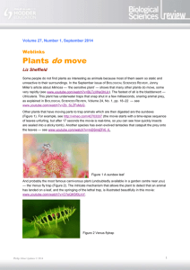 Weblinks: Plants DO move