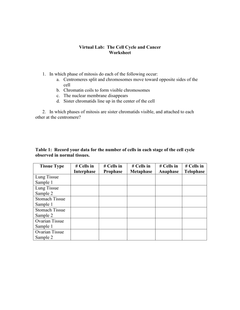 mitosis-virtual-lab-worksheet-answer-key-mitosis-and-meiosis-study-resources-start-studying