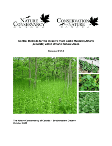 Control methods for the invasive plant garlic mustard