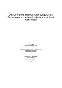 4 Development of a rabbit model of DIC and implementation of new