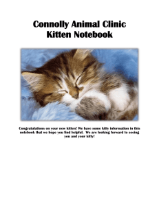 to View & our Kitten Notebook