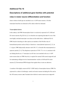 Transcription factors